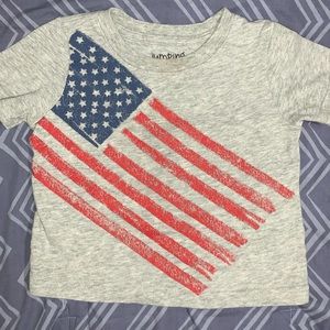 🍁 5 for $20 American Flag Tee